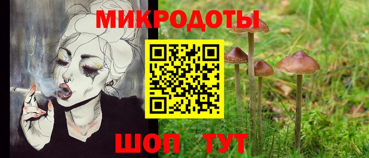 Псилоцибиновые грибы Psilocybe Тара