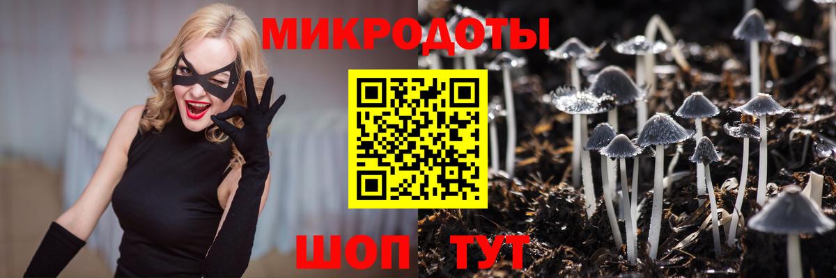 Тара  даркнет сайт  Вход с VPN  Галлюциногенные грибы Psilocybine cubensis 