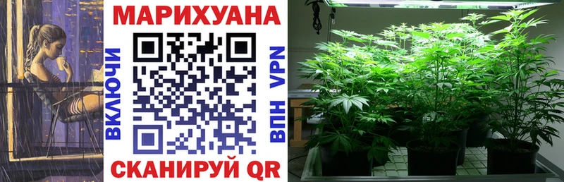 Каннабис гибрид  Тара 