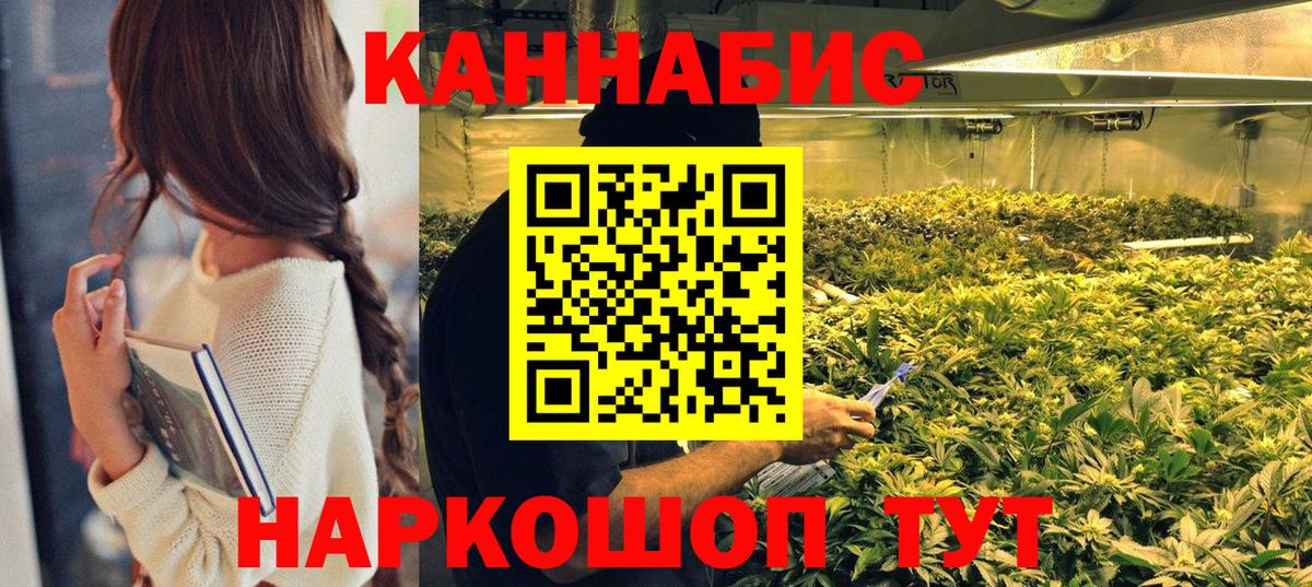 Бошки марихуана VHQ  Бошки Шишки тримм  Конопля Bruce Banner  Тара  Шишки марихуана планчик  Вход с VPN 